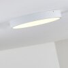 Broglen Ceiling Light LED white, 1-light source