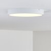 Broglen Ceiling Light LED white, 1-light source