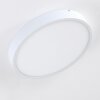 Broglen Ceiling Light LED white, 1-light source