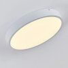 Broglen Ceiling Light LED white, 1-light source