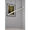 Masterlight Real 2 LED pendant light stainless steel, matt nickel, 1-light source