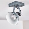Gudo Ceiling Light grey, silver, 1-light source