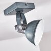 Gudo Ceiling Light grey, silver, 1-light source