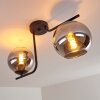 Cayuta Ceiling Light black, 2-light sources