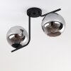 Cayuta Ceiling Light black, 2-light sources