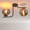 Cayuta Ceiling Light black, 2-light sources