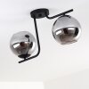 Cayuta Ceiling Light black, 2-light sources