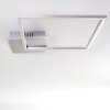 Chilkat Ceiling Light LED matt nickel, 1-light source