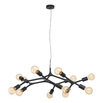 EGLO BOCADELLA Pendant Light black, 12-light sources