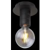 Globo HERMINE Ceiling Light black, 1-light source