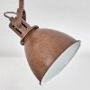 KOPPOM ceiling light rust-coloured, 2-light sources