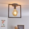 GUINAN Ceiling Light grey, black, 1-light source