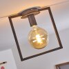 GUINAN Ceiling Light grey, black, 1-light source