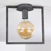 GUINAN Ceiling Light grey, black, 1-light source