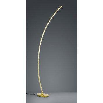 Reality SOLO Floor Lamp LED gold, 1-light source