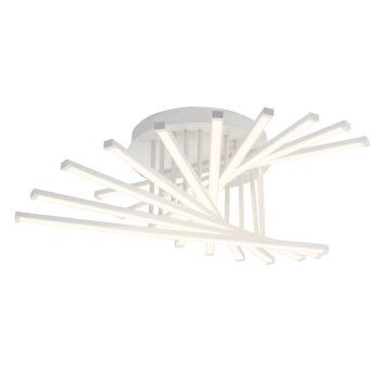 AEG CYRUS ceiling light LED white, 1-light source