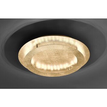 Paul Neuhaus NEVIS ceiling light LED gold, 4-light sources