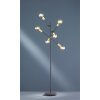 Trio CROSS Floor Lamp black, 6-light sources