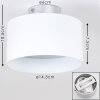 BARABOO Ceiling Light LED matt nickel, 2-light sources