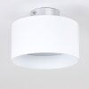 BARABOO Ceiling Light LED matt nickel, 2-light sources