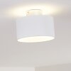 BARABOO Ceiling Light LED matt nickel, 2-light sources