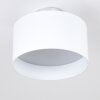 BARABOO Ceiling Light LED matt nickel, 2-light sources