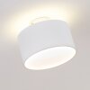 BARABOO Ceiling Light LED matt nickel, 2-light sources