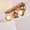 Ceiling Light Glostrup brown, stainless steel, 3-light sources
