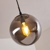 Agropoli Pendant Light smoke coloured, black, 1-light source