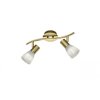 Trio LEVISTO ceiling spotlight LED brass, 2-light sources