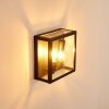 Caudry Outdoor Wall Light black, 2-light sources