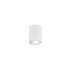 Ceiling Light Trio Leuchten COOKIE white, 1-light source