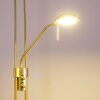 Rom uplighter LED brass, 2-light sources