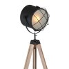 Steinhauer Twaki Floor Lamp black, 1-light source
