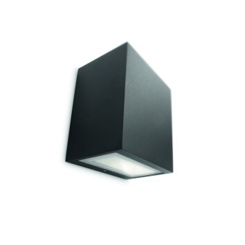 Philips Ledino FLAGSTONE wall light black, 1-light source