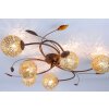 Paul Neuhaus GRETA ceiling light rust-coloured, 6-light sources