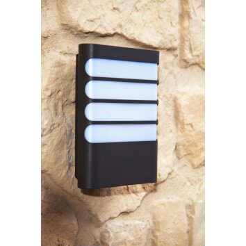 Philips myGarden RACCOON wall light LED anthracite, 1-light source