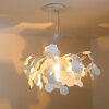 Zavaluce Andromeda pendant light white, 1-light source
