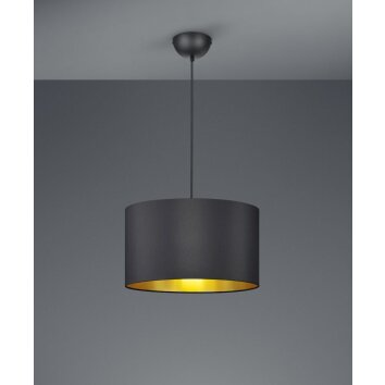 Trio HOSTEL Pendant Light black, 1-light source