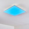 Antria Ceiling Light LED white, 1-light source, Colour changer
