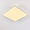 Antria Ceiling Light LED white, 1-light source, Remote control, Colour changer