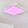 Antria Ceiling Light LED white, 1-light source, Remote control, Colour changer
