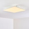 Antria Ceiling Light LED white, 1-light source, Colour changer