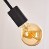 Coppet Pendant Light black-gold, 6-light sources