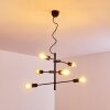 Coppet Pendant Light black-gold, 6-light sources