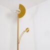 CAZIS Floor Lamp LED brass, 1-light source