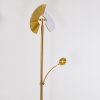 CAZIS Floor Lamp LED brass, 1-light source