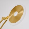 CAZIS Floor Lamp LED brass, 1-light source