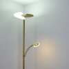 CAZIS Floor Lamp LED brass, 1-light source