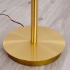 CAZIS Floor Lamp LED brass, 1-light source